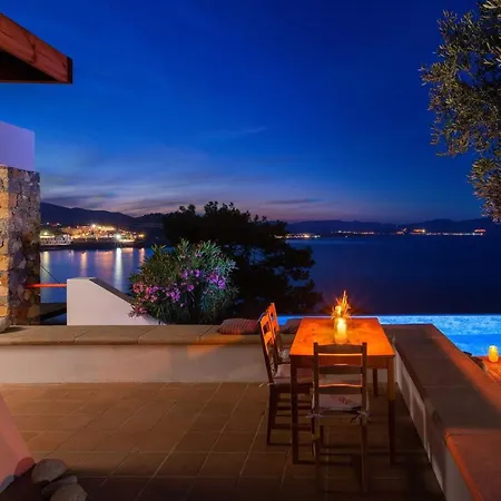 Villa Kerylos Vlicha